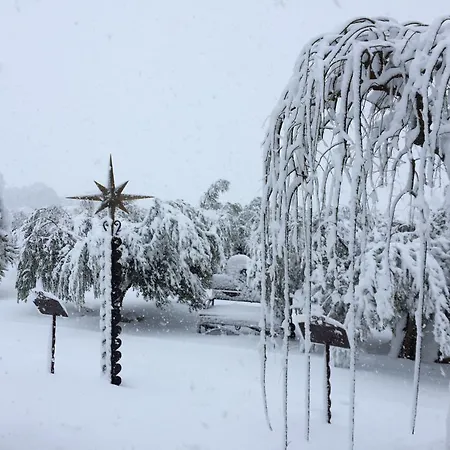 Caseta Nova ホテル